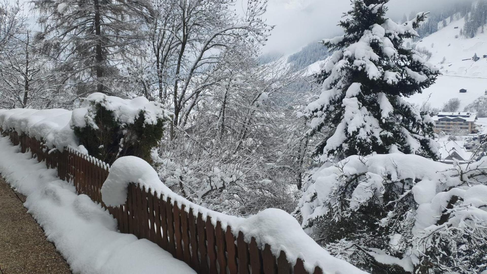 Pension Terra Neustift im Stubaital Zewnętrze zdjęcie